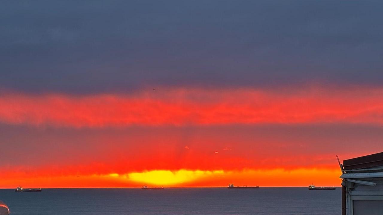 Cartolina da Livorno. Grazie a Francesca Martelli