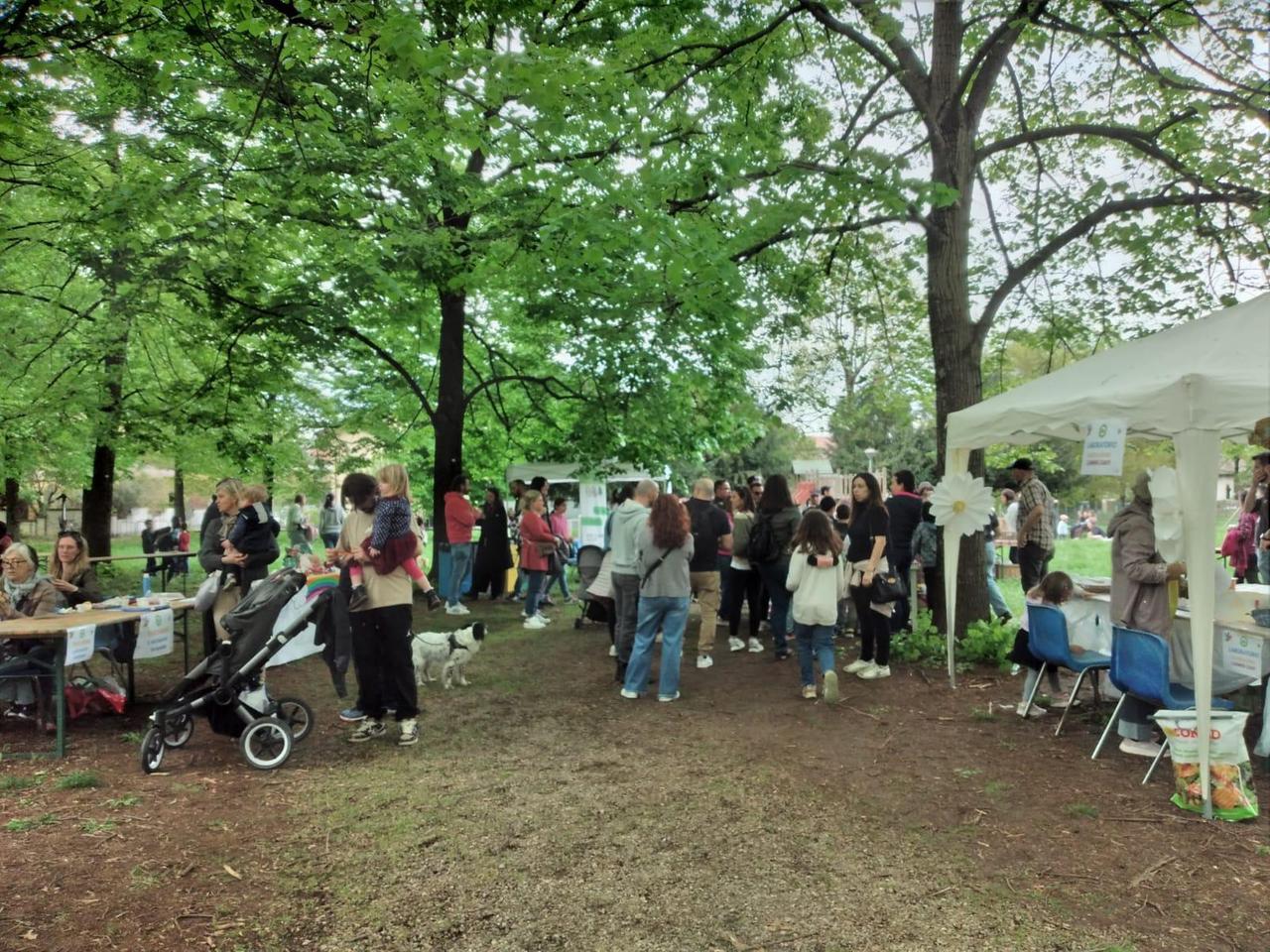 Un pomeriggio tra fiori e magia: a Cavriago torna la Festa delle Api