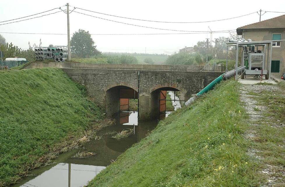 
	Un tratto di fosso Quadrelli nel Quarratino

