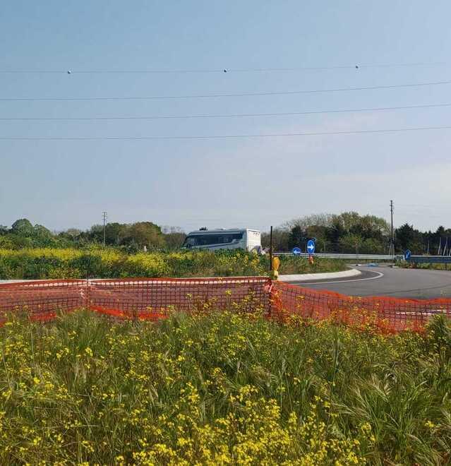 Rotatoria sulla Romea a Pomposa, Anas: «Completata entro giugno»