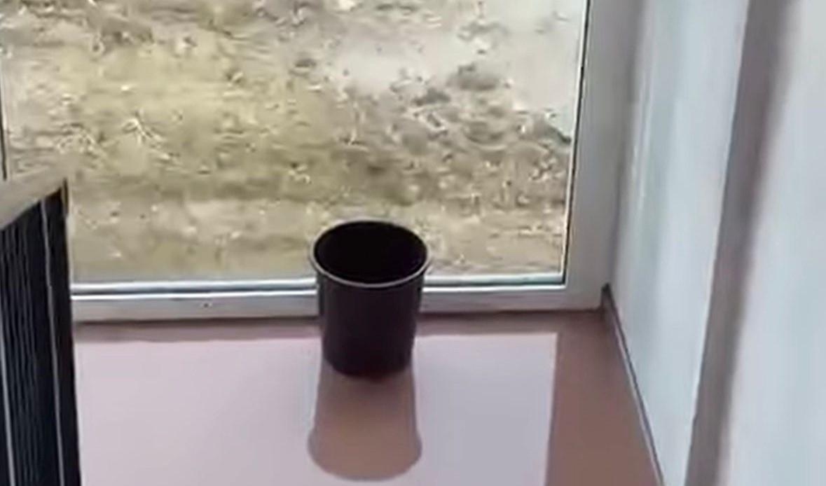 
	Piove dentro alla scuola

