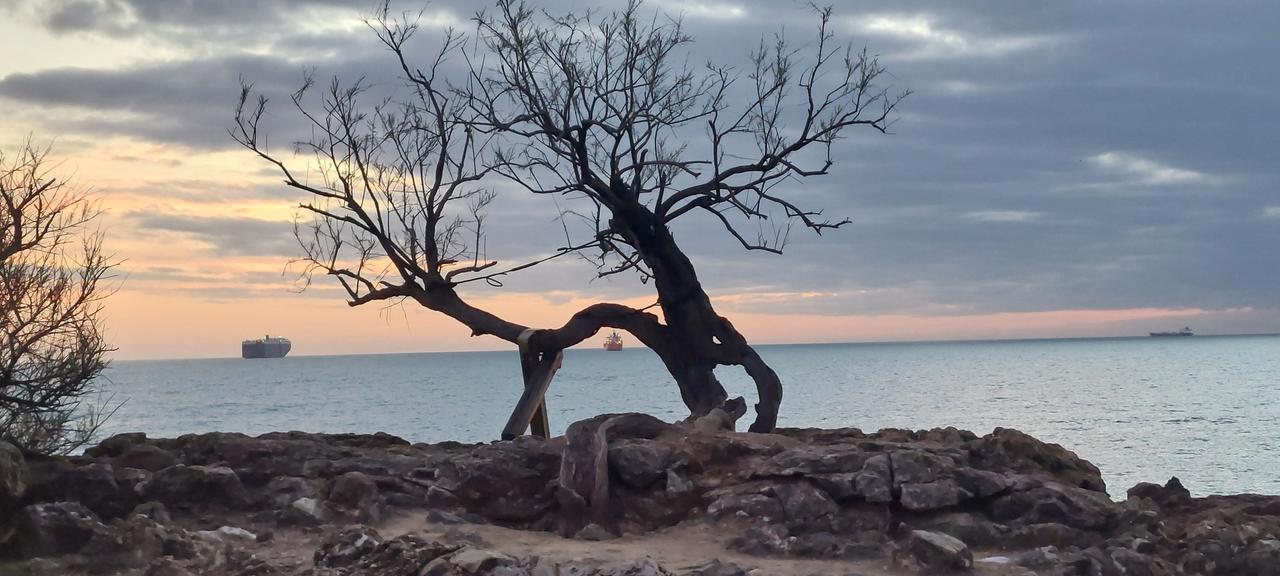 La Tamerice di Livorno. Grazie a Barbara Piattellini