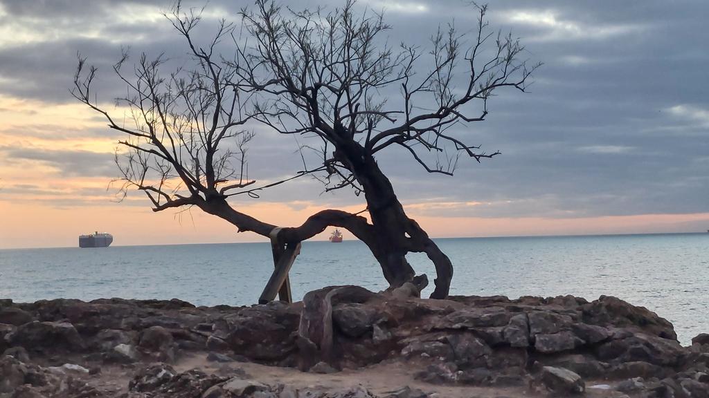 La Tamerice di Livorno. Grazie a Barbara Piattellini