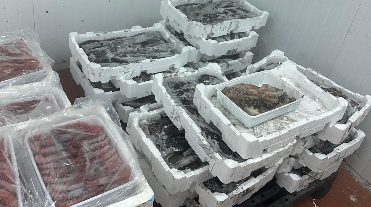 Pesca illegale, blitz di Guardia costiera e Asl: scatta il sequestro per 1,7 tonnellate di prodotti ittici