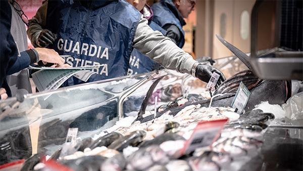 Pesce senza tracciabilità, maxi sequestro – Ecco dove
