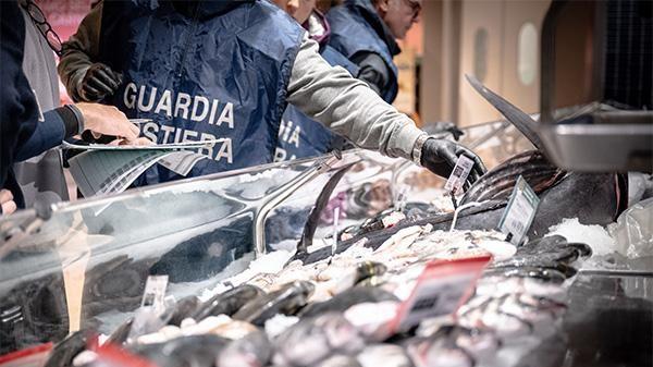 Pesce senza tracciabilità, maxi sequestro di prodotto ittico della Guardia costiera – Ecco dove