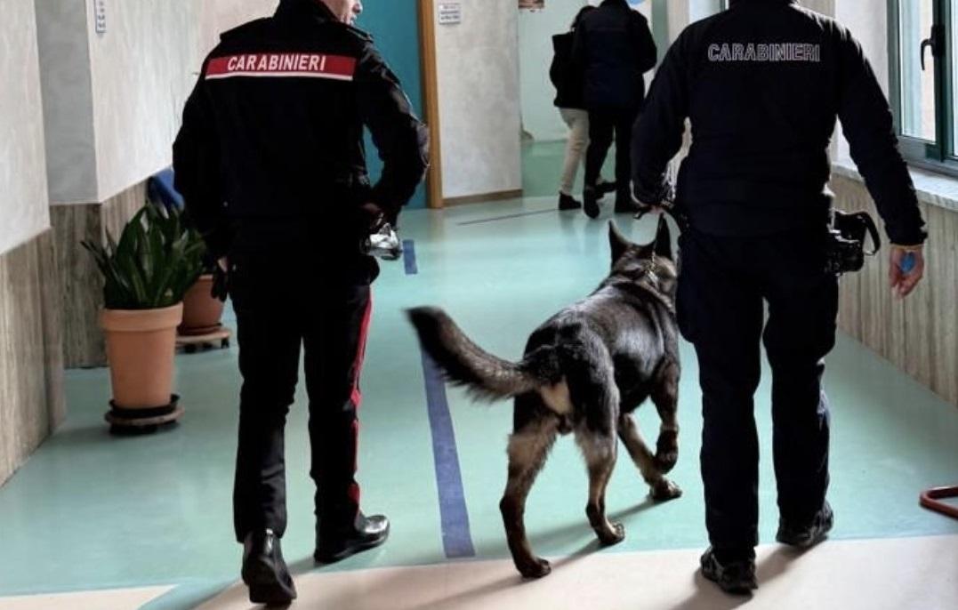 Cani antidroga nelle scuole della provincia di Ferrara, dove si sono svolti i controlli