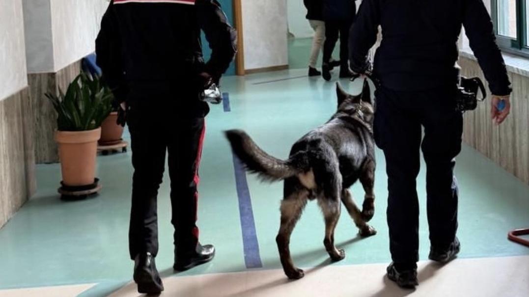 Cani antidroga nelle scuole della provincia di Ferrara, dove si sono svolti i controlli