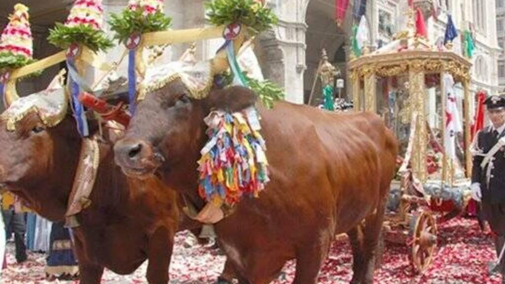 Il gioco dei buoi con il cocchio di Sant'Efisio durante una processione degli anni scorsi