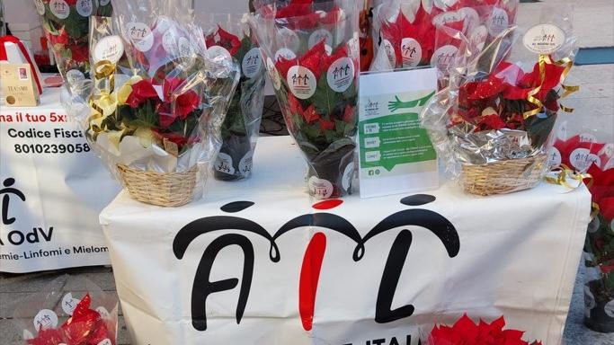 Ricerca contro la leucemia, teatro e solidarietà con Ail