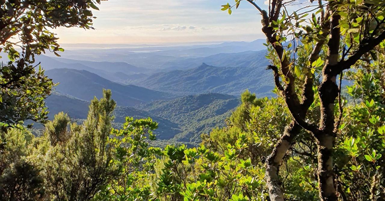 Gutturu Mannu, primavera di eventi: escursioni, arte e luna piena nel parco
