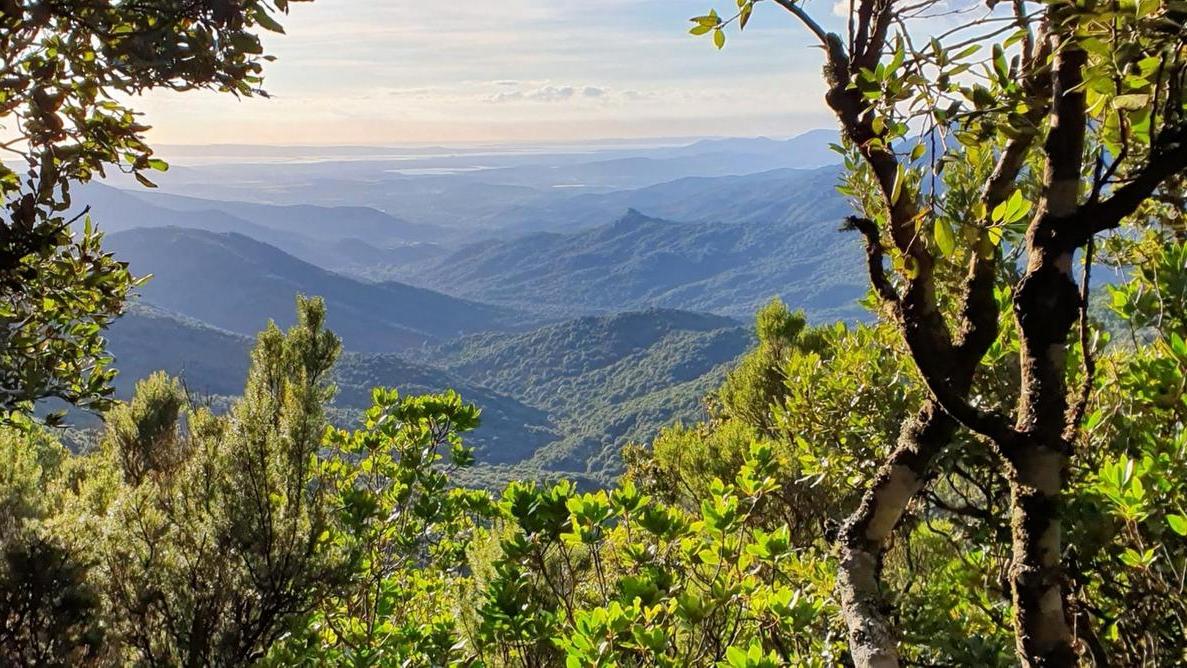 Gutturu Mannu, primavera di eventi: escursioni, arte e luna piena nel parco