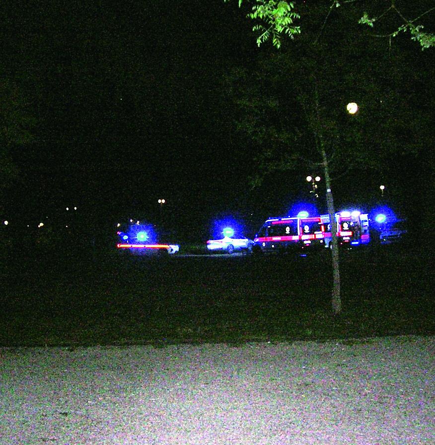 «Rissa al parco, la città è in emergenza: serve una strategia»