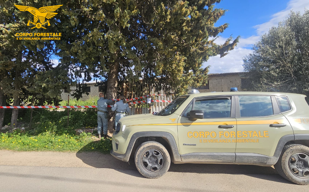 Bruciavano eternit e rifiuti pericolosi: denunciati