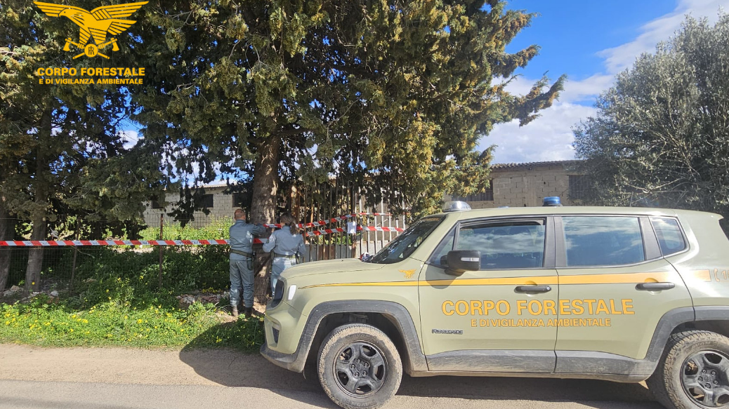 Bruciavano eternit e rifiuti pericolosi: denunciati