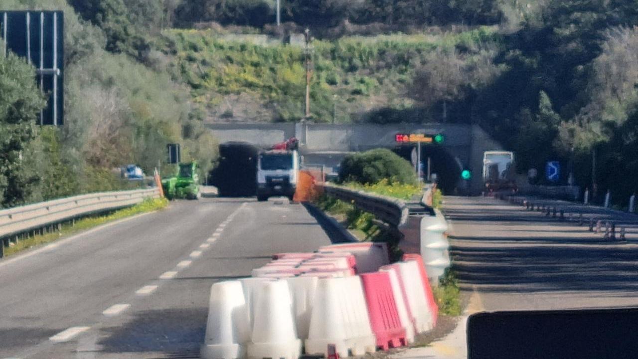 <em>foto Chessa</em>