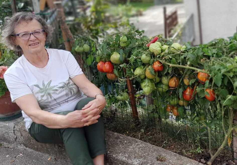 Marisa crea il suo fertilizzante bio a Lama Mocogno: spunta una pianta da 50 pomodori