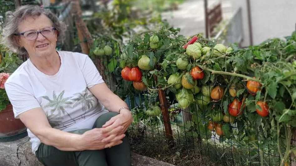 Marisa crea il suo fertilizzante bio a Lama Mocogno: spunta una pianta da 50 pomodori