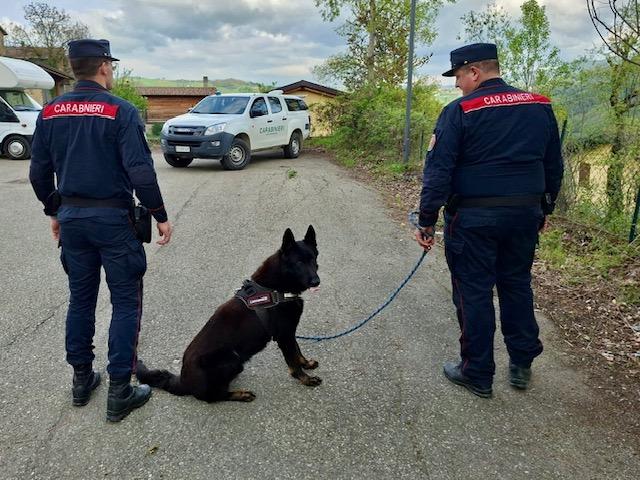 Allarme esche avvelenate a Villa Minozzo: in azione il cane Freddy