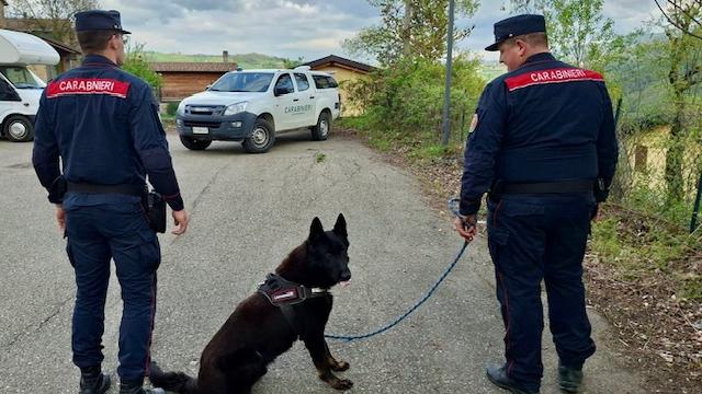 Allarme esche avvelenate a Villa Minozzo: in azione il cane Freddy