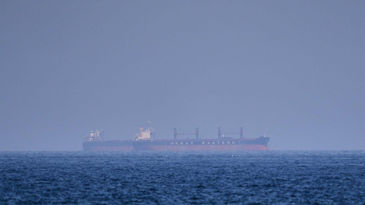 
	Una nave nello stretto di Hormuz (Foto di repertorio)

