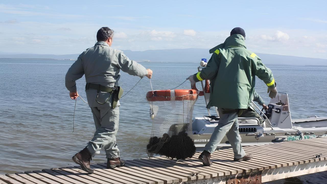Area Marina Protetta saccheggiata di decine di migliaia di esemplari di ricci: scatta l’accusa di inquinamento ambientale – L’inchiesta