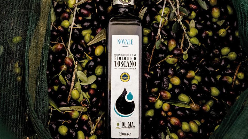 Olio, annata 2025 tra sfide in campo e mercati in calo: la qualità resta vincente
