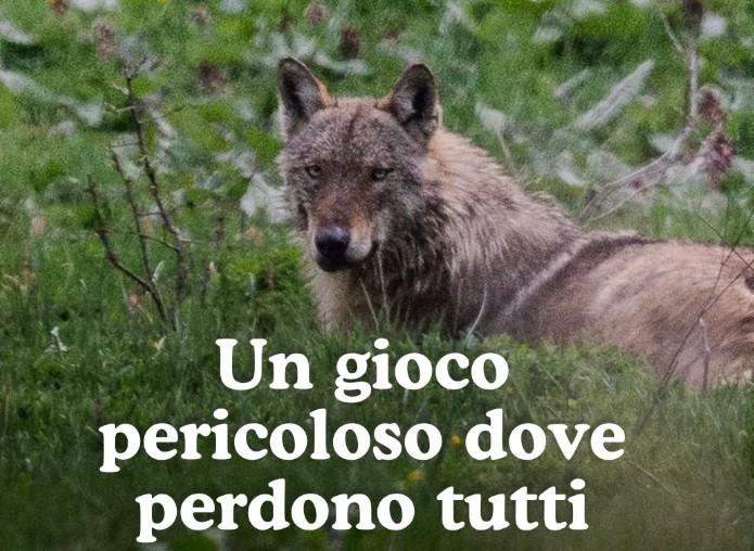 
	Foto da pagina social del Parco

