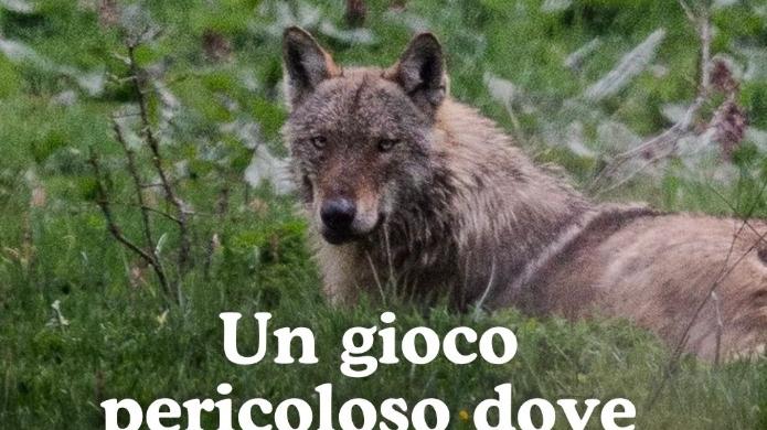Foto da pagina social del Parco