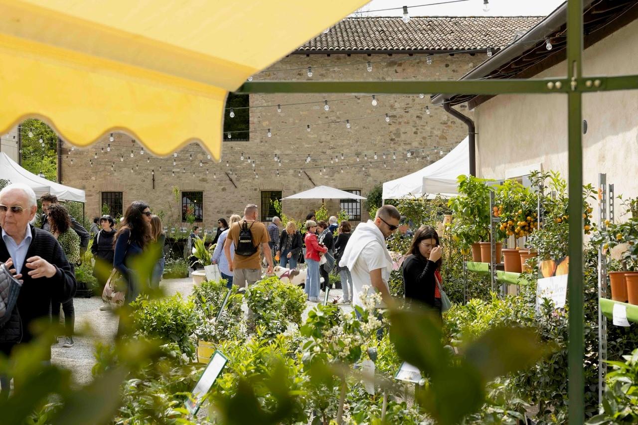 Borgo Plantarum 2026 a Castellarano: due giorni tra piante rare, vivaisti da tutta Europa e laboratori