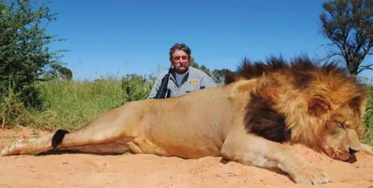 
	L'uomo &egrave; morto calpestato dagli elefanti&nbsp;

