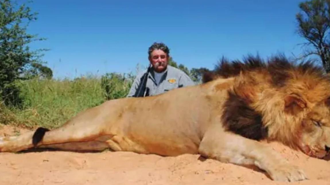 L'uomo è morto calpestato dagli elefanti 