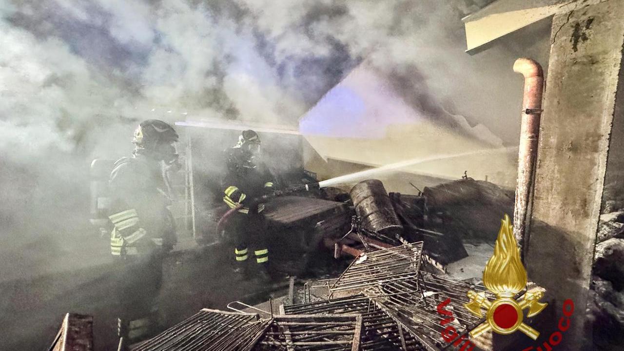 Fiamme in un capanno vicino a una casa: intervento dei vigili del fuoco