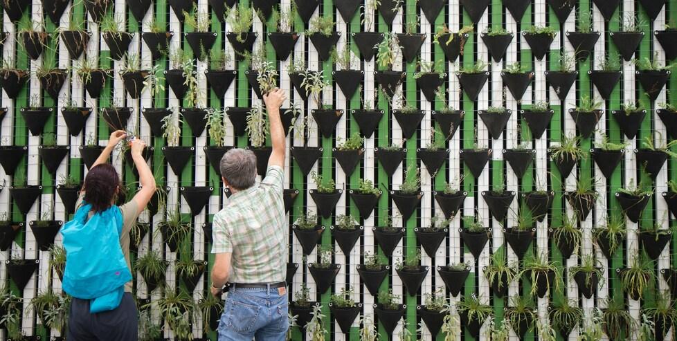 Cuneo salino, va sempre peggio: un’assemblea coi cittadini a Vada<br>
