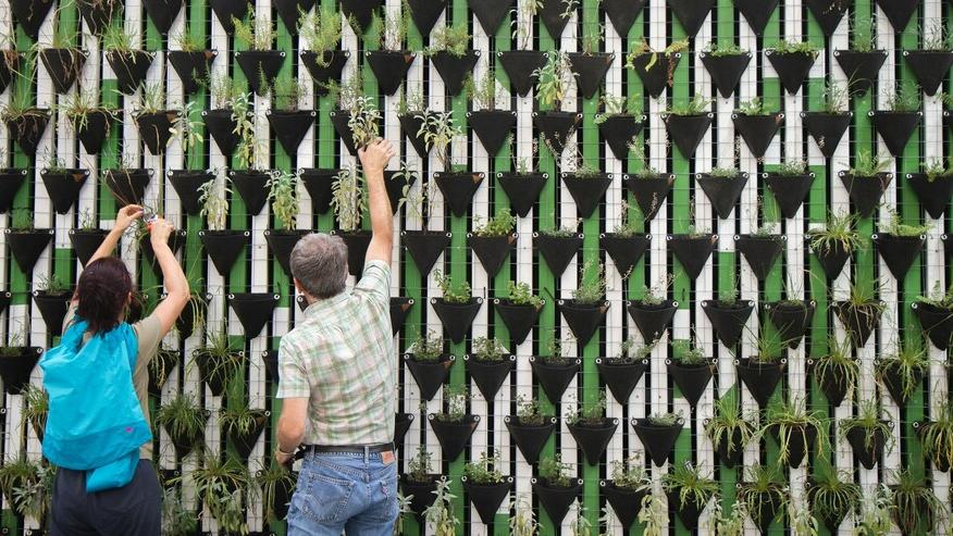 Cuneo salino, va sempre peggio: un’assemblea coi cittadini a Vada<br>