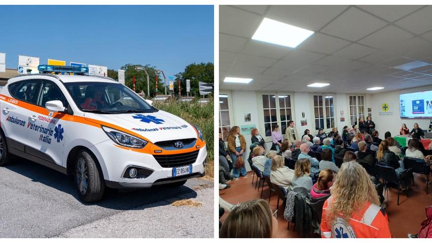 L'ambulanza veterinaria