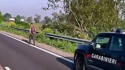 A piedi lungo la Superstrada Ferrara-mare, arrivano i carabinieri