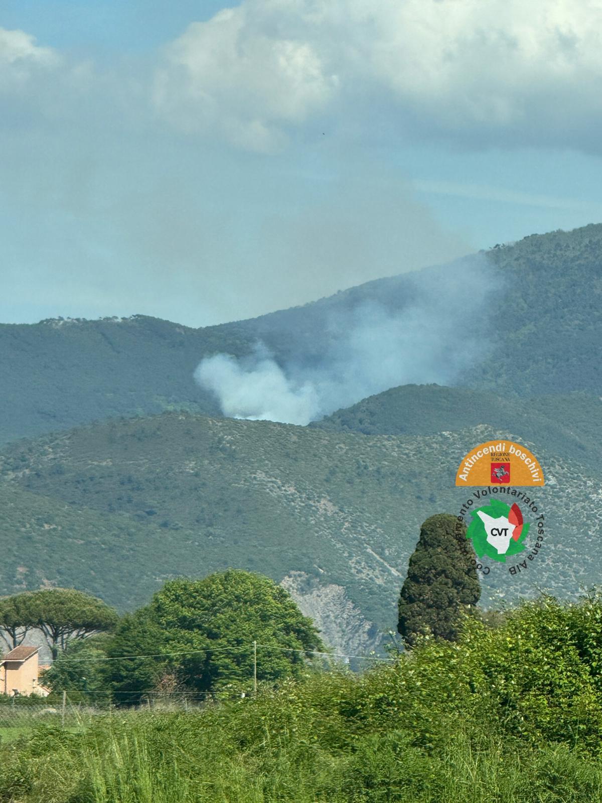 Capannori, incendio nei boschi ai piedi del Monte Faeta