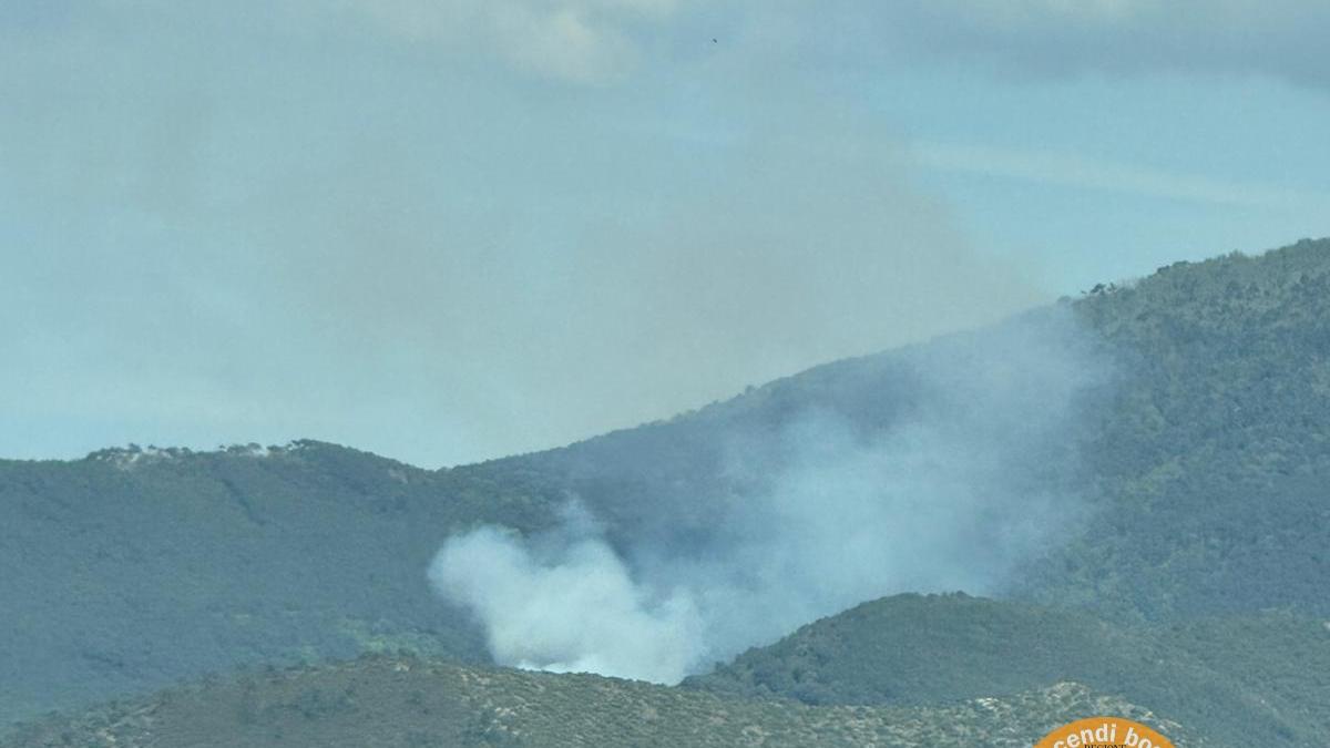 Capannori, incendio nei boschi ai piedi del Monte Faeta