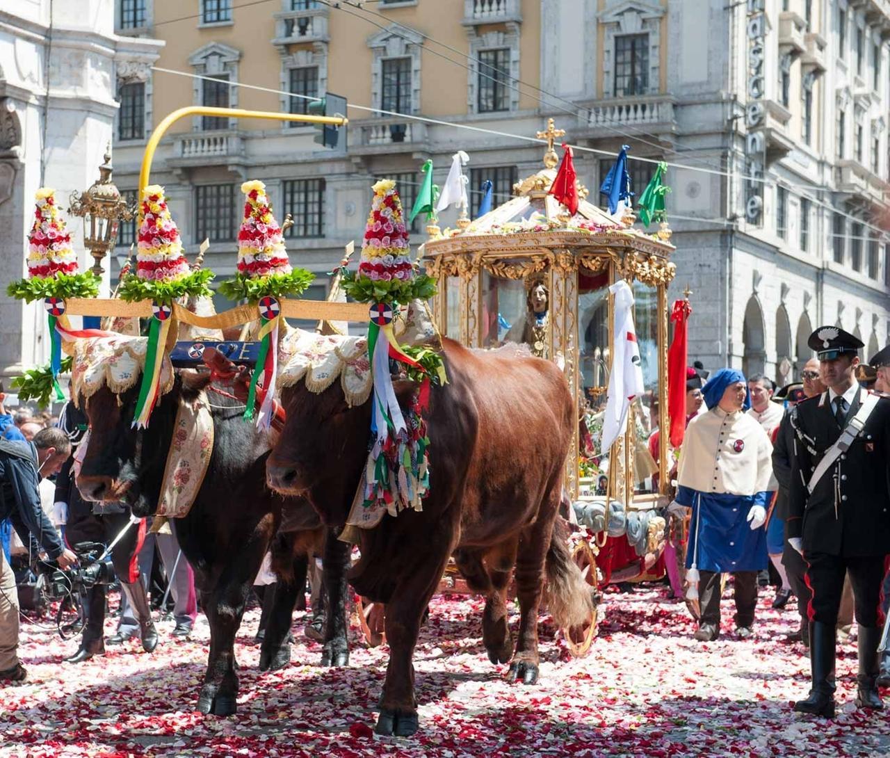 
	Il cocchio di Sant'Efisio trainato dal giogo di buoi

