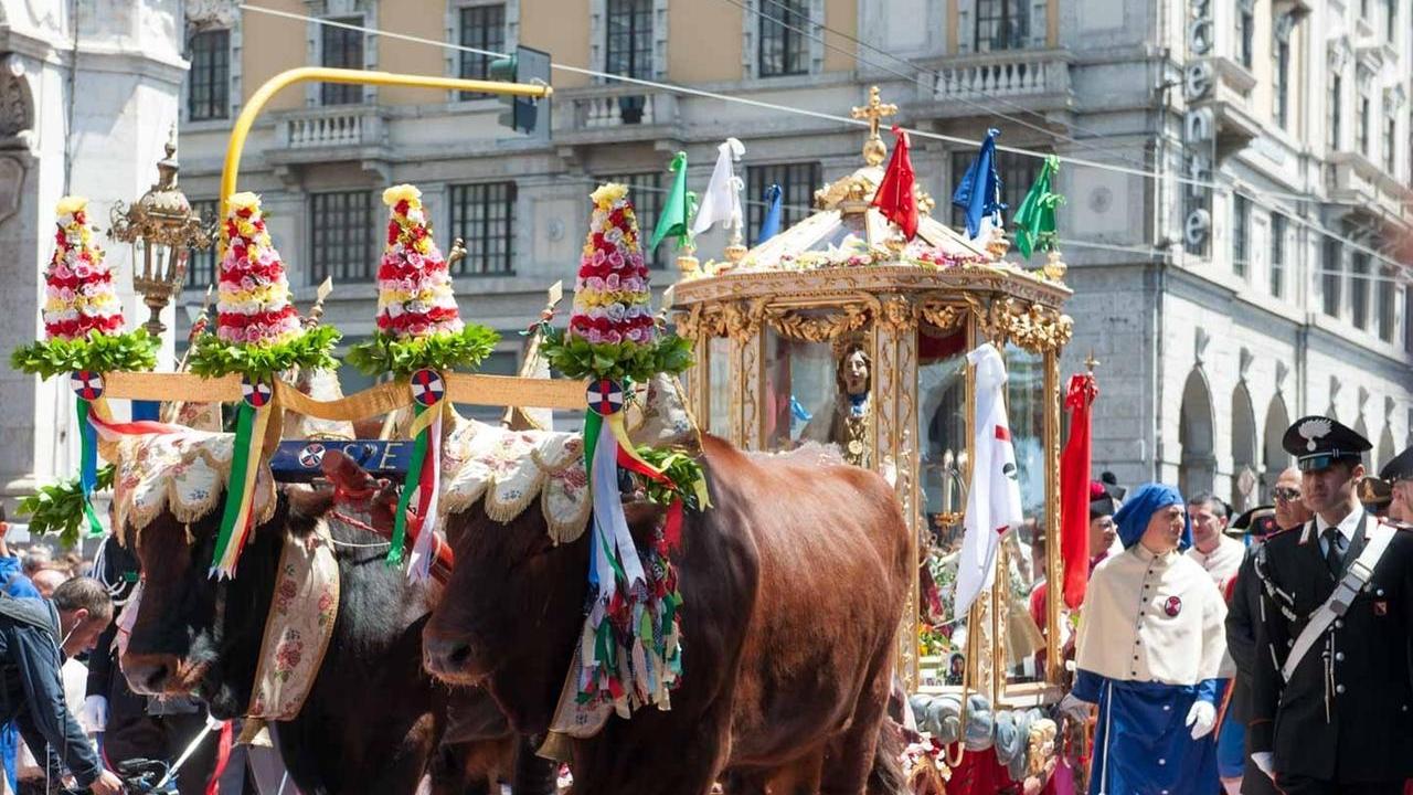 Il cocchio di Sant'Efisio trainato dal giogo di buoi