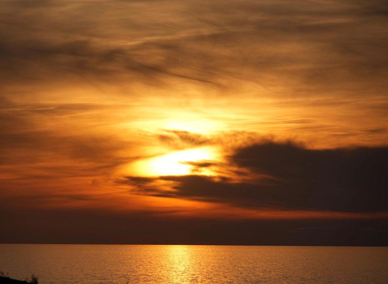 Nel cielo di Livorno si “posa” il calasole. Grazie a Franco Silvi