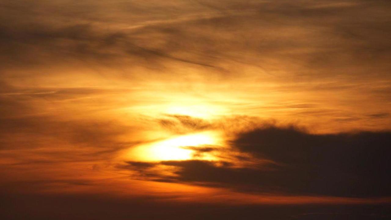 Nel cielo di Livorno si “posa” il calasole. Grazie a Franco Silvi