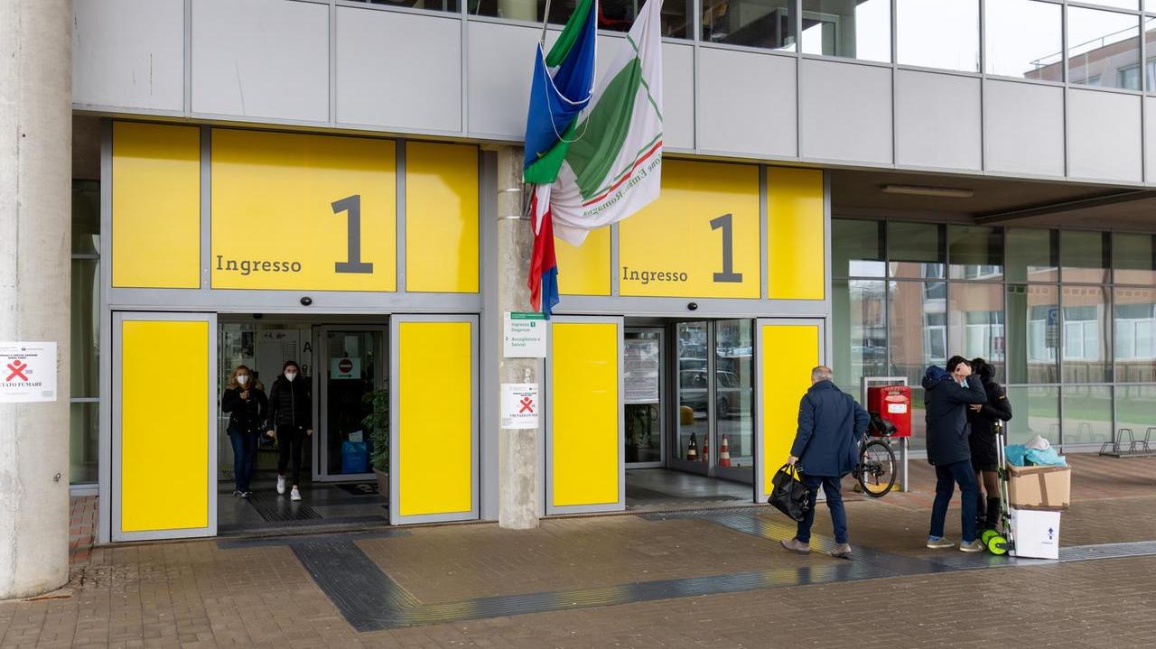 Ferrara, aziende unificate e più organizzate: ecco il piano Natalini