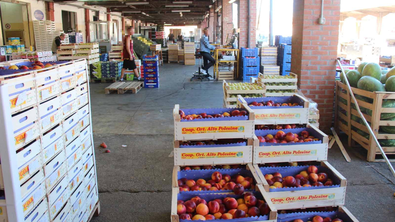 Livorno, il mercato ortofrutticolo rischia di chiudere: «Ci sono 200 famiglie da tutelare»