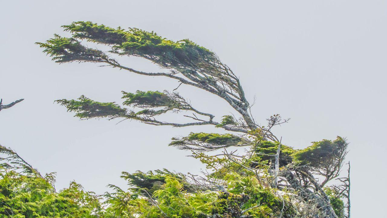 Peggiora il tempo in Toscana