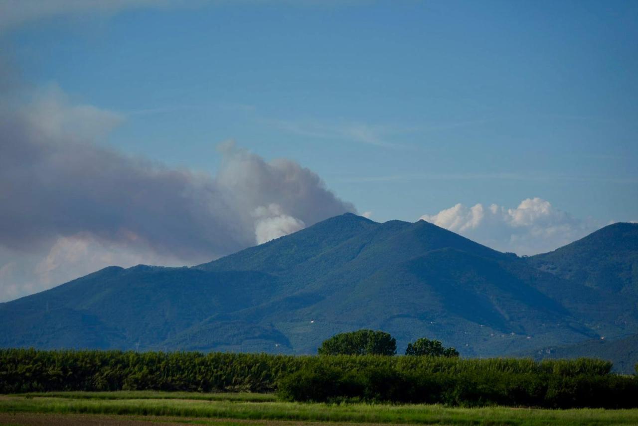 
	Il fumo visto dal versante di Lucca (foto Stick)

