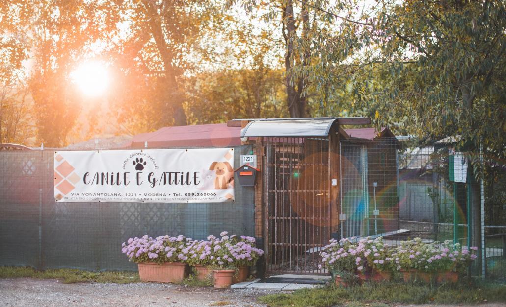 Centro soccorso animali: «Amore, cura e dedizione»
