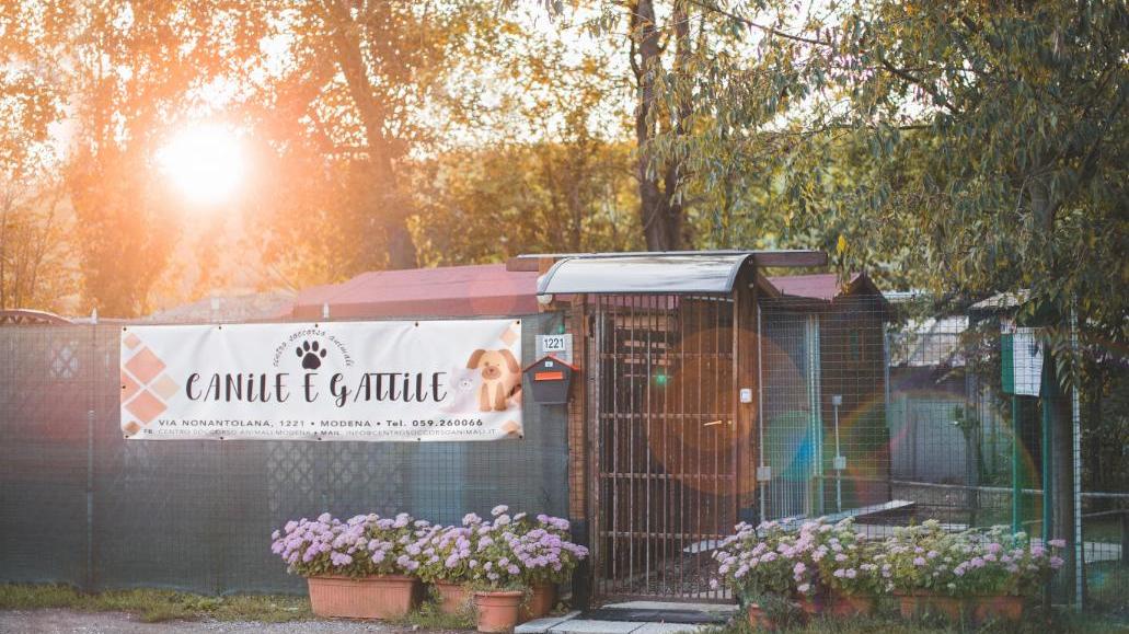 Centro soccorso animali: «Amore, cura e dedizione»