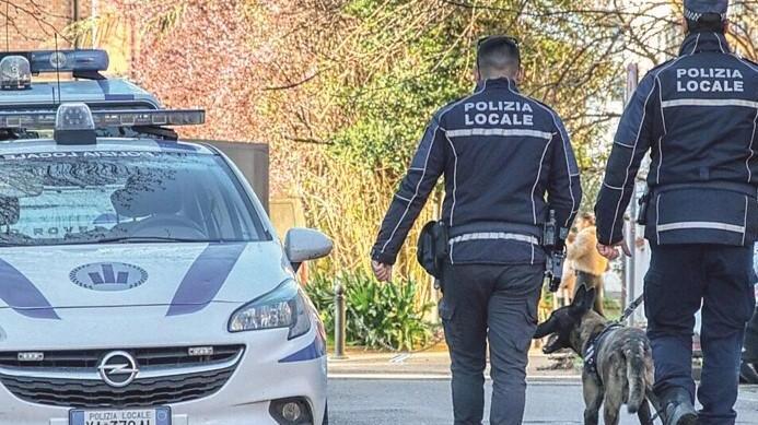 La polizia locale ha scoperto e denunciato i ladri